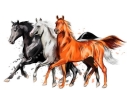 Лошадь бежит галопом от всплесков акварели. ручной обращается эскиз.  иллюстрация красок | Премиум векторы